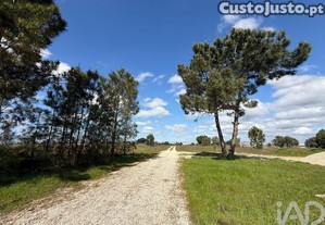 Terreno Agrícola em Palmela