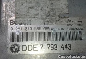 imagem_1