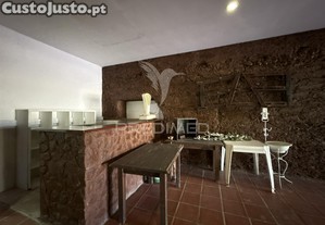 imagem_13