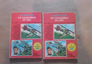 imagem_2