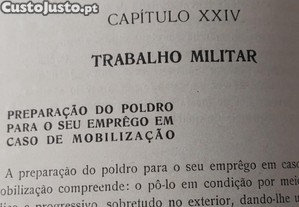 imagem_6