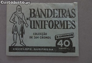 imagem_1