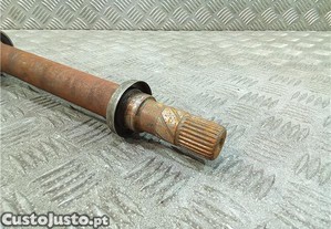 imagem_5