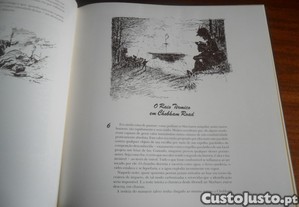 imagem_6