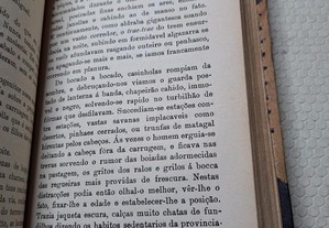 imagem_4