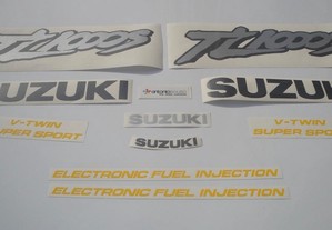 Autocolantes Suzuki TL 1000S 1994 - 2002