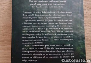 imagem_2