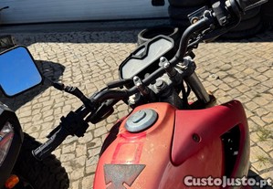 imagem_7