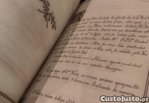 imagem_4