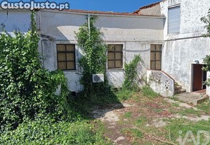 imagem_24
