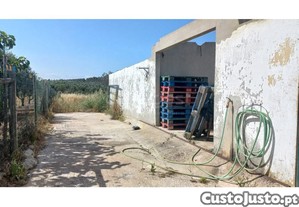imagem_5