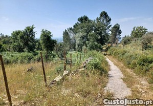 Terreno rústico 4,983 ha - portalegre