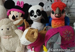 imagem_5