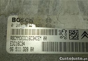 imagem_1