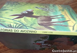 imagem_1
