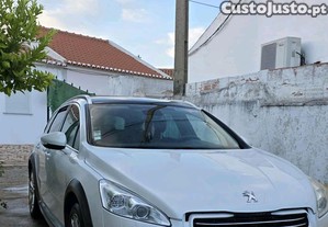 imagem_1