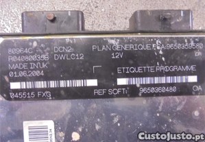 imagem_3