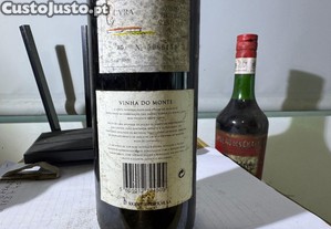 imagem_4