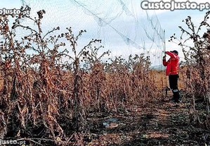 Redes para Proteo de Cultivos Resistentes ( Fio Multifilamento ) Invisveis