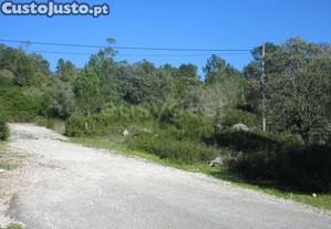 imagem_12