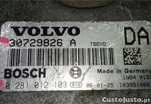 imagem_1