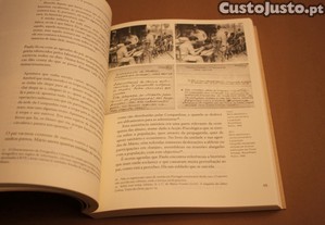 imagem_8