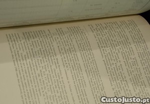 imagem_9