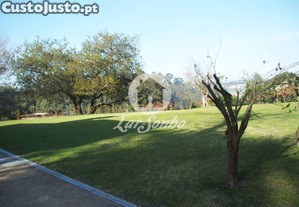 imagem_25