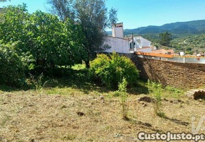 imagem_7