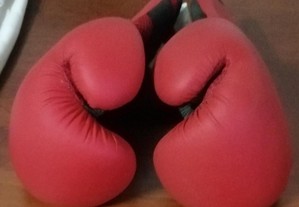 Luvas de boxe novas para criança- Outshock