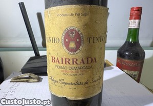 imagem_1