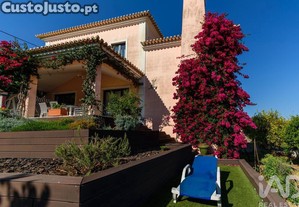 imagem_31