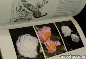imagem_12