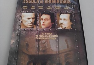 DVD Escola de Criminosos Filme de Steve Buscemi com Willem Dafoe Mickey Rourke Trejo