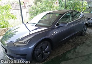 Tesla Model 3 Standard Range Plus Rwd - 20