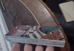 imagem_5