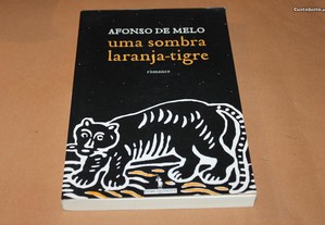 Uma Sombra Laranja-Tigre de Afonso de Melo