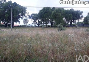 imagem_14