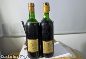imagem_5