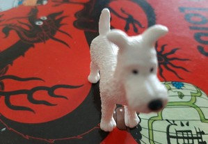 imagem_6