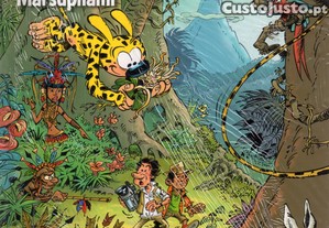 imagem_1