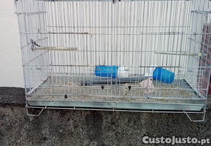 imagem_1