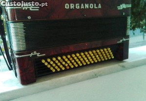 imagem_6