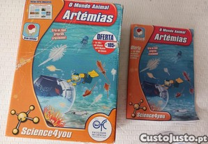imagem_1