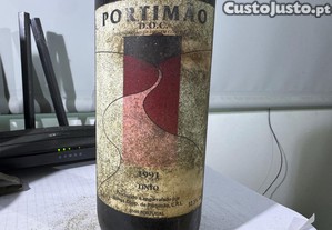 imagem_1