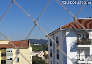 imagem_20