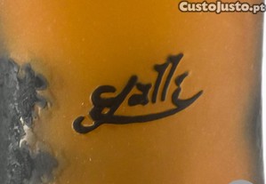 imagem_15