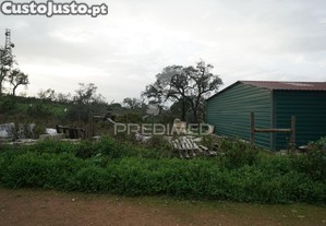 imagem_7