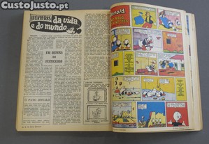 imagem_2