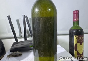 imagem_5